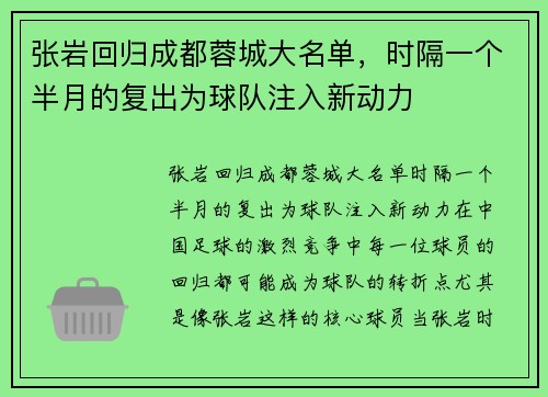 张岩回归成都蓉城大名单，时隔一个半月的复出为球队注入新动力