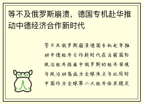 等不及俄罗斯崩溃，德国专机赴华推动中德经济合作新时代